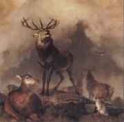 Sir Edwin Landseer A Majestic Gathering painting
